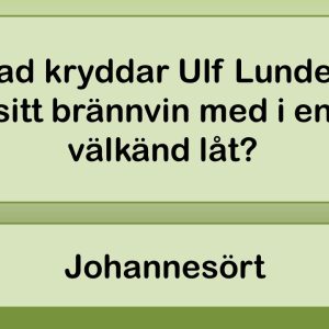 Frågesport, sommar, minnen, hjärngympa