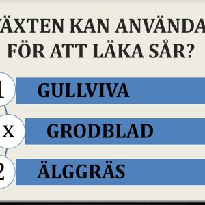 Frågesport med svarsalternativ, träning, minnesgympa