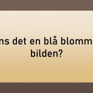 Memorera bilder, väcker minnen, tränar hjärnan