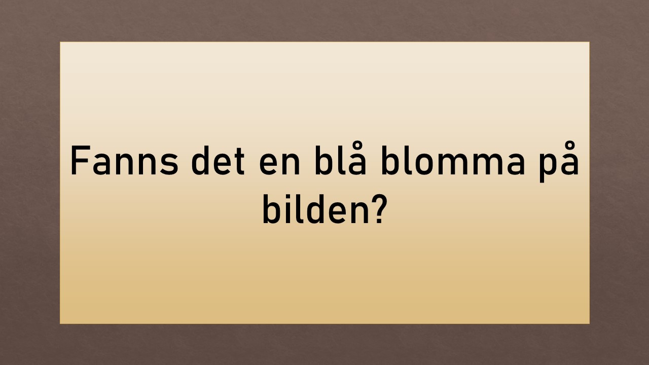 Hur var det nu igen? ver.1 Memorera bilder, väcker minnen, tränar hjärnan