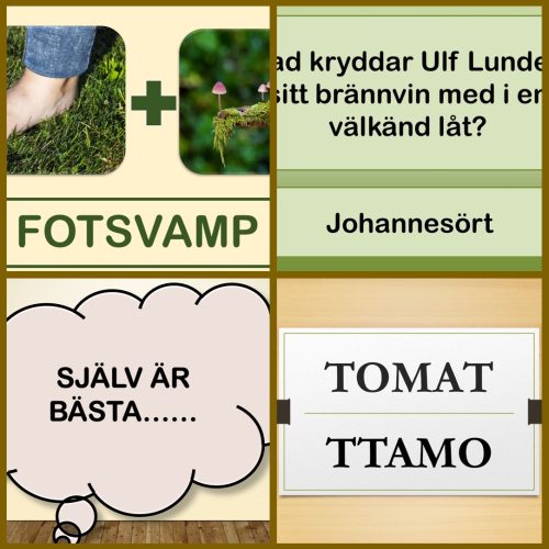 Frågesport aktiviteter för minnet